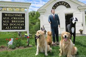 Welcome and thank you for visiting the website of swiss run swissys. Dog Mountain Vermont