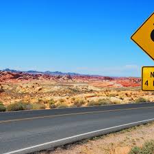 The concession guy at your local movie theater knows you by name and you're already ripped from hauling your cooler to the beach every other day. 10 Mobile Games That Will Put The Fun In Family Road Trips
