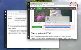 You can use this same method for any other browser including opera or mozilla. Download By Internet Download Manager