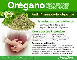 Orégano | HerbaZest