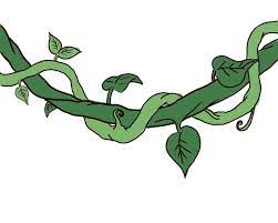 How To Draw A Jungle Vine Vine Drawing Tree Drawing Plant Drawing