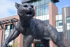 Wildcats Statue unveiled | News, Sports, Jobs - The Mining Journal