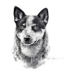 Black And White Blue Heeler Dogs Dog Art Google Search Dog Print Art Dog Art Blue Heeler Dogs