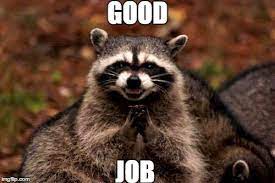 Great job to all the 9 year olds out there! Evil Plotting Raccoon Meme Imgflip