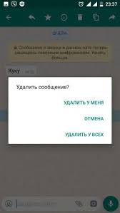 Kak Udalit Soobsheniya V Whatsapp Kogda Eta Opciya Uzhe Nedostupna Lajfhaker
