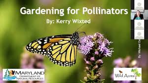 Using resources from the northeast region's. What S The Buzz All About Pollinators