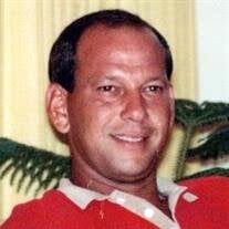 Stephen Wolf Obituary