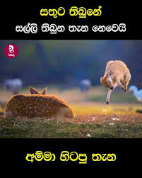 Maybe you would like to learn more about one of these? Adaraniya Amma à¶†à¶¯à¶»à¶« à¶º à¶…à¶¸ à¶¸ Home Facebook