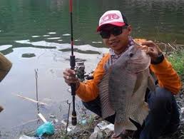 Ikan nila merah di datangkan dari philipina dan. Membaca Posisi Ikan Mas Di Malam Hari Di Kolam Untuk Kita Pancing Mancingikan Net 2021 Mancingikan Net 2021
