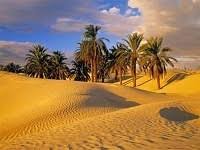 Aug 07, 2021 · salat tahajud, lengkap niat dan bacaan doanya, waktu mustajab memohon hajat jumat, 30 juli 2021 19:36 sholat tahajud merupakan waktu mustajab untuk memunajdkan doa dan amalan orang saleh Berniat Puasa Asyura Sekaligus Qodho Puasa Rumaysho Com