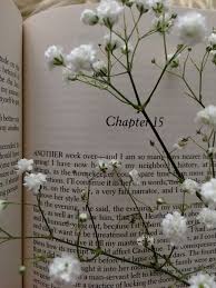 This plant is native to asia and europe, but can now be found growing sporadically throughout the united states. Babys Breath On Tumblr