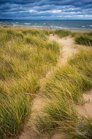 Pin By Evelyn On America The Beautiful Traveling The Usa Michigan Beaches Ludington State Park Scenic