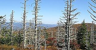 Découvrez comment se forment ces étranges grêlons en vidéo. Comment Se Forme La Pluie Acide 2021