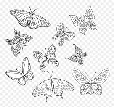 Collection of hand drawn black silhouette butterflies. Butterfly Tattoo Art Insects Photography Butterflies Butterfly Tattoo Line Drawing Hd Png Download Vhv