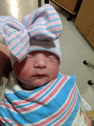 Welcome Baby Harley!