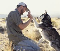 Becoming An Animal Trainer Animal Shelter Volunteer Animals Animal Shelter