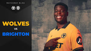 Wolverhampton Wanderers FC - News update