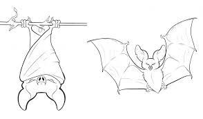 Free Printable Bat Coloring Pages For Kids Bat Coloring Pages Cute Bat Animal Coloring Pages