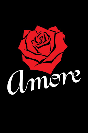 Amore Mio Fitted Scoop T Shirt By Habaneroshirt Casual Tee Shirt Designs Tshirt Designs