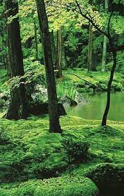 Moss Temple In Kyoto Japan National Geographic November 1989 Vintage National Geographic Temple Gardens Kyoto Temple