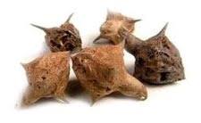 Image result for Pedalium