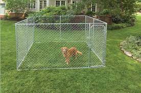Check spelling or type a new query. 35 Outdoor Dog Kennel Ideas