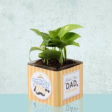 While it might seem like you've got plenty of time to spare, it's best to start planning now to ensure personalized gift: Father S Day Gifts Gifts For Fathers Day Online India 2021 Ferns N Petals