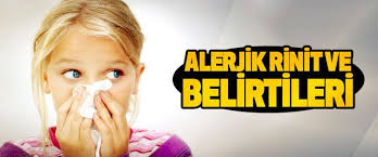 Alerjik Rinit Bahar Nezlesinin Dogal Tedavisi Herbalist Adnan Yildirim Alerjik Rinit Dogal Bahar