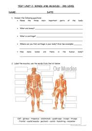 Download muscle bone stock photos. Bones And Muscles English Esl Worksheets For Distance Learning And Physical Classrooms