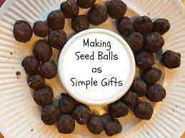 Nancyonthehomefront Com Seed Balls Seeds Simple Gifts