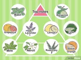 Cara buat minyak wangi kereta. Cara Membuat Parfum Sendiri Dengan Gambar Wikihow