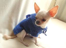 Cappottino di lana fatto a maglia per cani. Bubadog Cappottino Cane Con Cappuccio In Maglia Fatto A Mano Per Su Misshobby