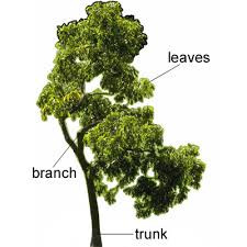 Branch Definition From The Business Basics Topic Business Basics