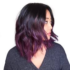 Black And Purple Ombre Hair Medium Length Pin By Ash Pietrobon On Hair Hair Color Purple Plum Hair Balayage Hair