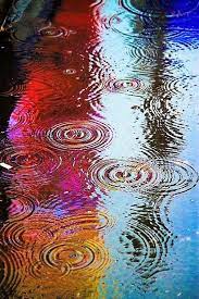 Sono Una Pozza Di Acqua Bagnata Come Ti Senti Tiepida Tiepida Foto Pioggia Giorni Di Pioggia Pioggia