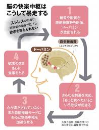 写真 図版 コロナ太りは 脳の暴走 糖質 脂質中毒で悪循環に やせ脳 に生まれ変わる 食べ物 食べ方 aera aera dot アエラドット 漢方 ダイエット 健康と美容 減量プラン