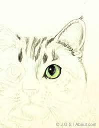 Draw A Majestic Cat In Colored Pencil Color Pencil Drawing Animal Drawings Cat Drawing