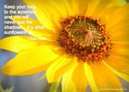 Sunflower Quotes And Sayings Sunflower Quotes Tumblr Sunflower Sunflower Quotes Sunflower Short Poems