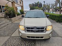 Image result for Gold Leaf 2012 Escape