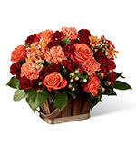 Legacy.com enhances online obituaries with guest books, funeral home information, and florist links. Flowers To Williamson Medical Center Franklin Tennessee Tn Same Day Delivery By A Local Florist In Franklin