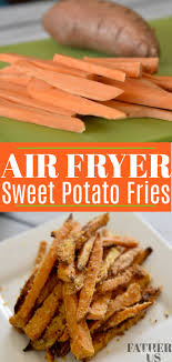 Spread the potatoes in one layer. Panko Crusted Air Fryer Sweet Potato Fries Father And Us