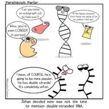 The new seal population is genetically less diverse than the original population. The Amoeba Sisters Amoebasisters Profile Pinterest