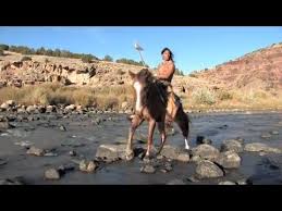 Leo Rojas Watch Over My Dreams Native American Music Indian Pictures My Dream