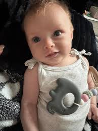 Lei lei and her children had their first photo shoot. They are so  photogenic.