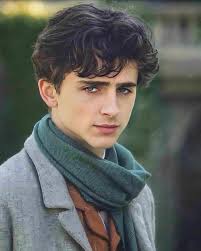 Тимоти́ хэл ша́ламе — американский актёр. Timothee Chalamet Laurie