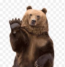 Maybe you would like to learn more about one of these? Dog Bear Paw Bear Paw Prints Brown Animals Png Pngegg