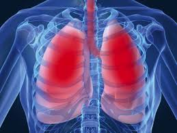 Imagini pentru capacitate pulmonara