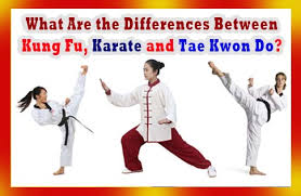 What Are The Differences Between Kung Fu Karate And Tae Kwon Do Kung Fu Taekwondo Karate