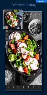 Advertisement platforms categories 3.2.1 user rating8 1/3 with the android version of lightroom, adobe primarily targets an enthusiastic pho. Adobe Lightroom Cc Mod Apk V7 0 0 Premium Unlocked