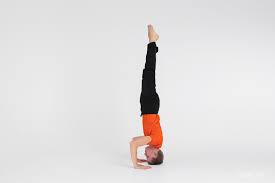 The city is very green and cozy. Salamba Shirshasana Tehnika Vypolneniya Effekty Protivopokazaniya